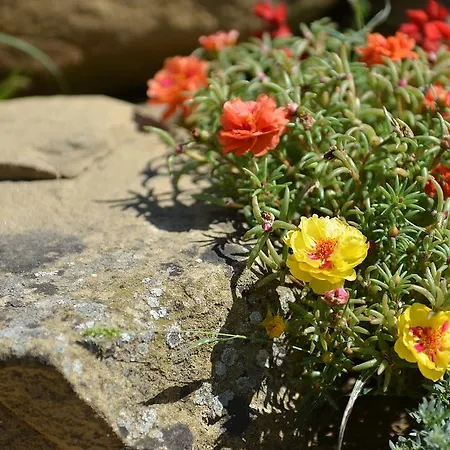 Apartman La Pietraia