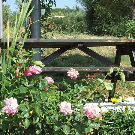 Apartman La Pietraia Panicale